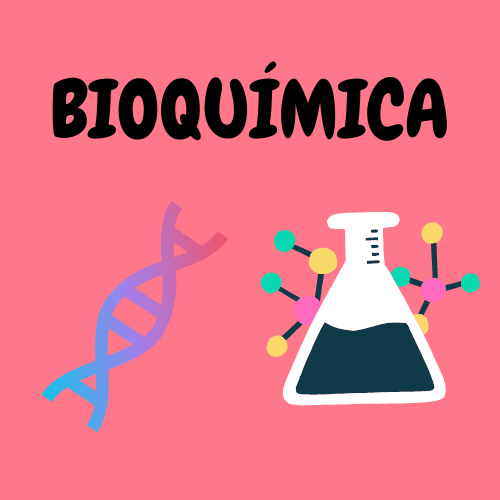 O Que Se Estuda em Bioquímica